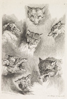 KG 01102
<br/>
Serie honden, wolven en leeuwen (11 bladen)
<br/>
<em>Ridinger, Johann Elias (1698-1767)</em>